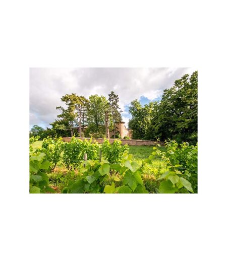 Dégustation de 4 cuvées, balade et pique-nique pour 2 dans les jardins d’un château du Beaujolais - SMARTBOX - Coffret Cadeau Sport & Aventure