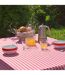 Nappe Antitache Imprimé Vichy 150x240cm Rouge-4