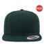 Lot de 2  casquettes ajustables homme vert Yupoong