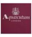 Sweat Motif/style Gros Logo Active Homme Bordeaux Aquascutum-3
