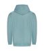 Sweat à capuche college homme turquoise Awdis-2