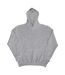 Sweatshirt Homme Gris Clair SG-3