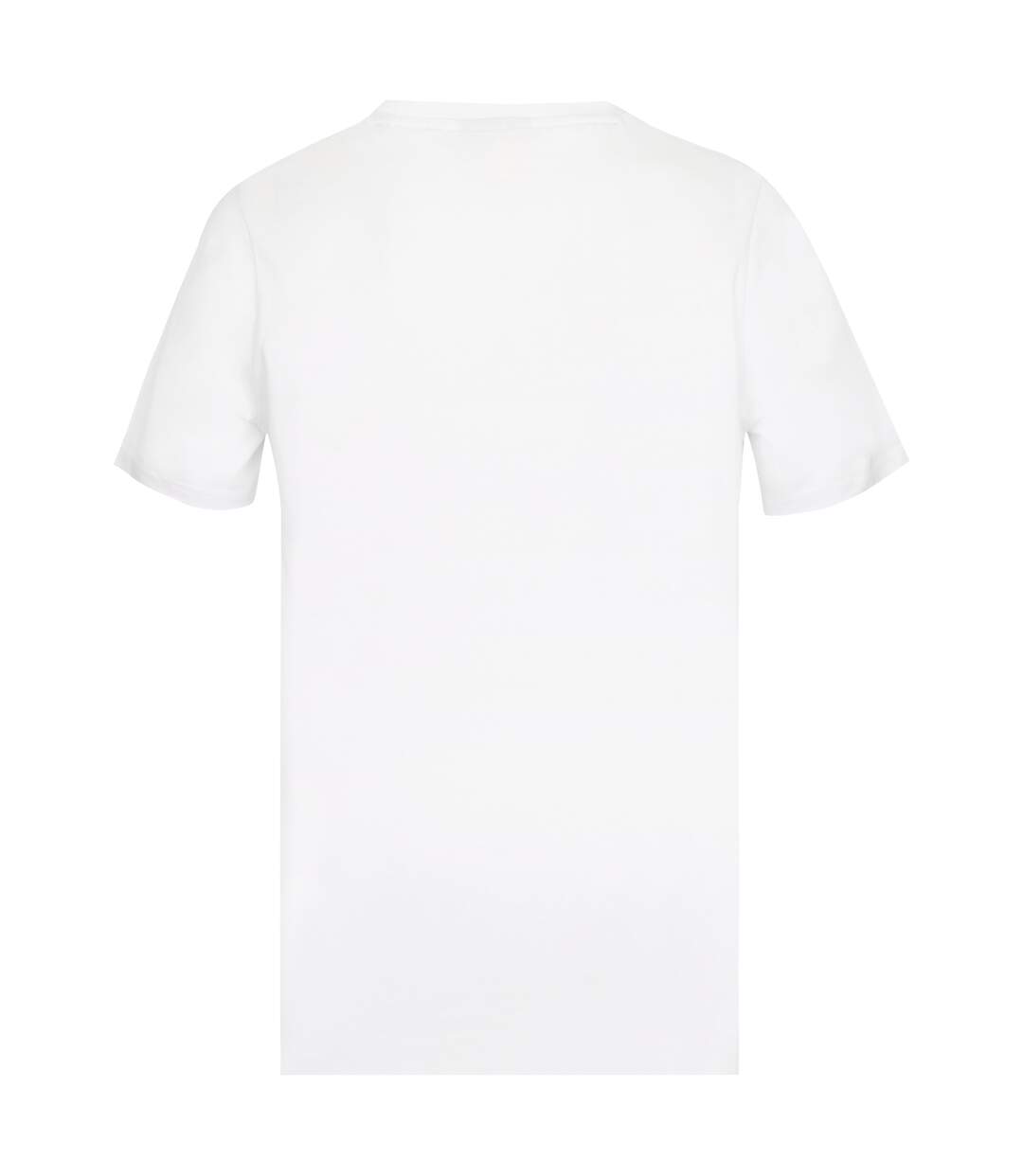 Tee Shirt EverLast Norman-2