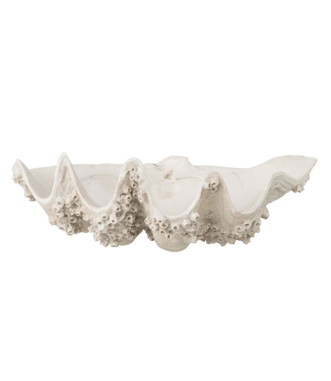 Coupelle Déco Coquillage 52cm Blanc Cassé-1
