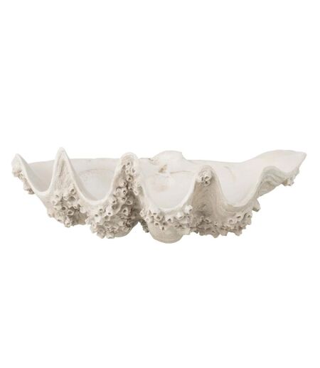 Coupelle Déco Coquillage 52cm Blanc Cassé