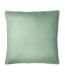 Paoletti Melrose Floral Throw Pillow Cover (Sage) (One Size) - UTRV2621