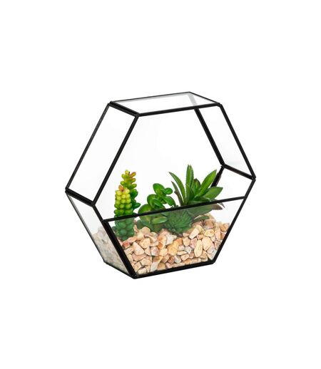 Terrarium Hexagonal en Verre Pia 20cm Noir
