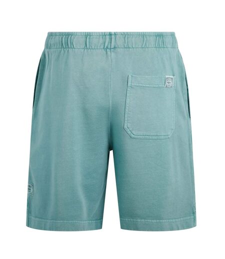 Mens hamilton sunwashed shorts mineral blue Weird Fish