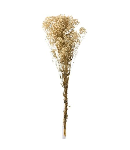 Bouquet de Fleurs Gypsophile Séché 84cm Écru