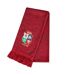 British & Irish Lions Winter Scarf One Size Red Canterbury-1
