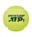 Balles de tennis atp taille unique vert / noir Dunlop Dunlop