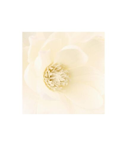 Composition Florale & Vase Magnolia 73cm Blanc