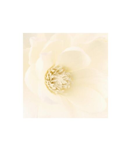 Composition Florale & Vase Magnolia 73cm Blanc