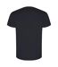 Roly - T-shirt GOLDEN - Homme (Anthracite) - UTPF4236