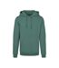 Build Your Brand Mens Heavy Pullover Hoodie (Pale Leaf) - UTRW5681