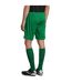 Short Basic San Siro Adulte Vert Vif SOLS-1