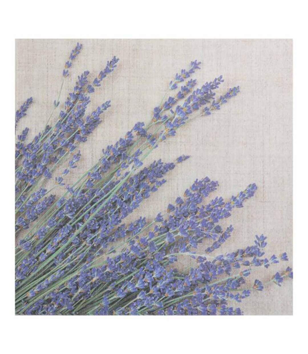 Lot de 20 Serviettes en Papier Lavande 33x33cm Violet-1