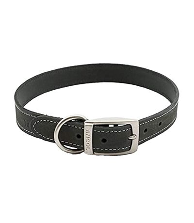 Timberwolf leather dog collar 30cm 34cm grey Ancol