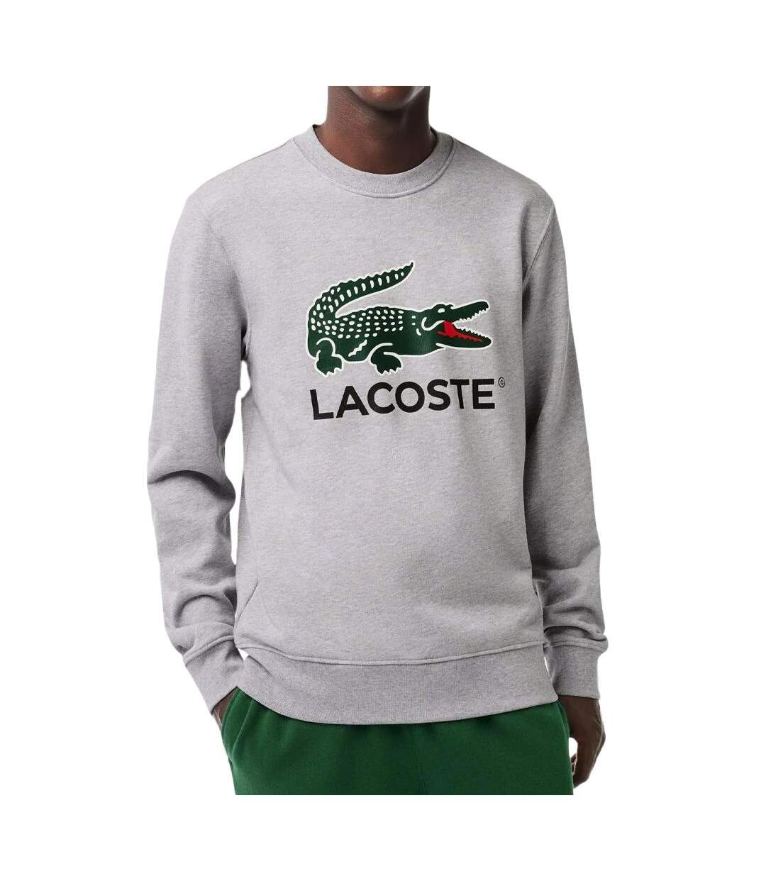 Sweat Gris Homme Lacoste Classic Fit - L-1