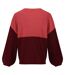 Regatta Womens/Ladies Kamaria Knitted Sweater (Mineral Red/Cabernet) - UTRG9208