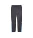 Jogging gris/bleu homme puma om-2