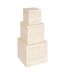 Lot de 3 Boîtes de Rangement Tineo 33cm Beige-1