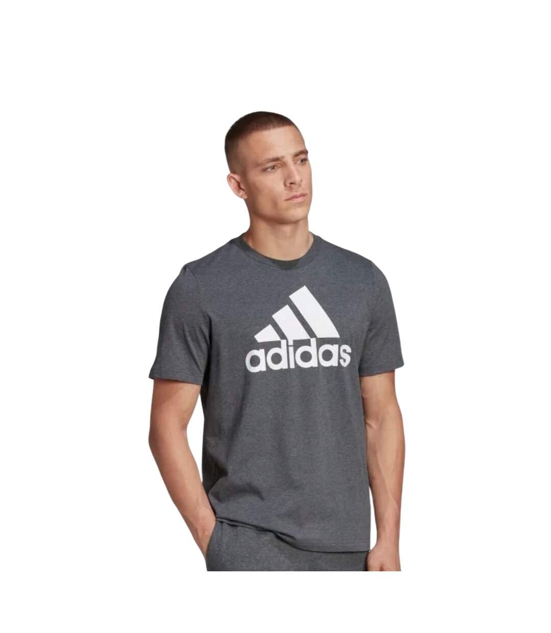 Mens Essentials Big Logo Single Jersey T-shirt Grey Adidas-2