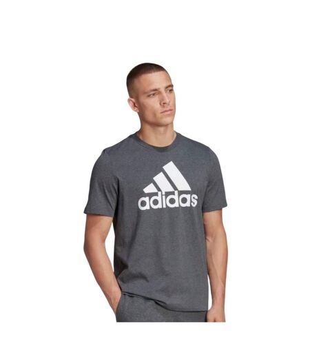 Mens Essentials Big Logo Single Jersey T-shirt Grey Adidas