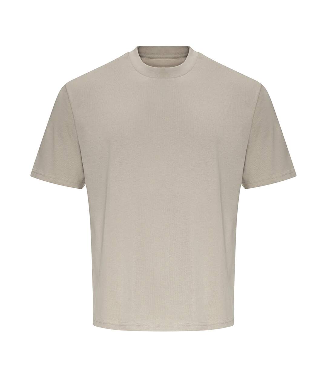 Womens/ladies Eco-jersey T-shirt Natural Stone Alternative Apparel-1
