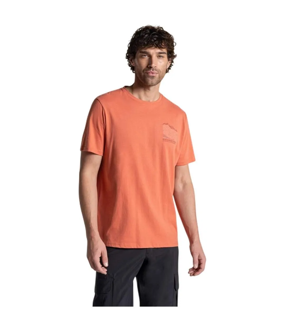 Mens Lucent Ii Mountain Back Print Short-sleeved T-shirt Sahara Craghoppers-1