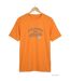 CHALLENGER STEFANO — Tee-shirt manches courtes en coton jersey pour un confort dynamique au quotidien-2
