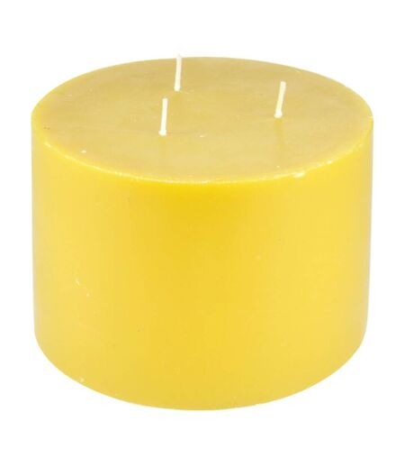 Bougie Déco Parfumée Trendie 15cm Miel Sauvage