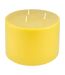 Bougie Déco Parfumée Trendie 15cm Miel Sauvage-1