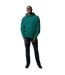 Unisex adult yoho recycled cotton relaxed fit hoodie verdigris Iqoniq-3