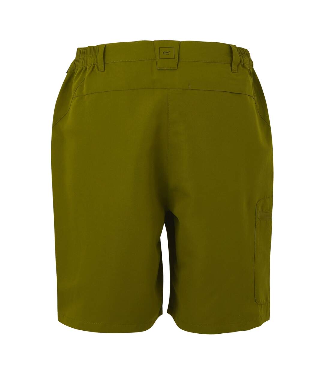 Womens/ladies chaska iii walking shorts nephrite green Regatta-2