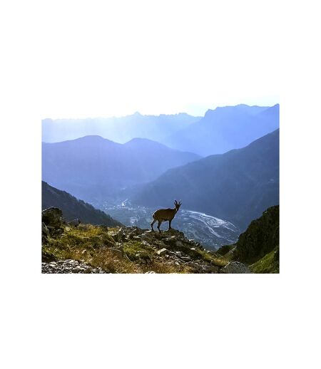 Randonnée face au mont Blanc : 5h pour découvrir la géologie - SMARTBOX - Coffret Cadeau Sport & Aventure