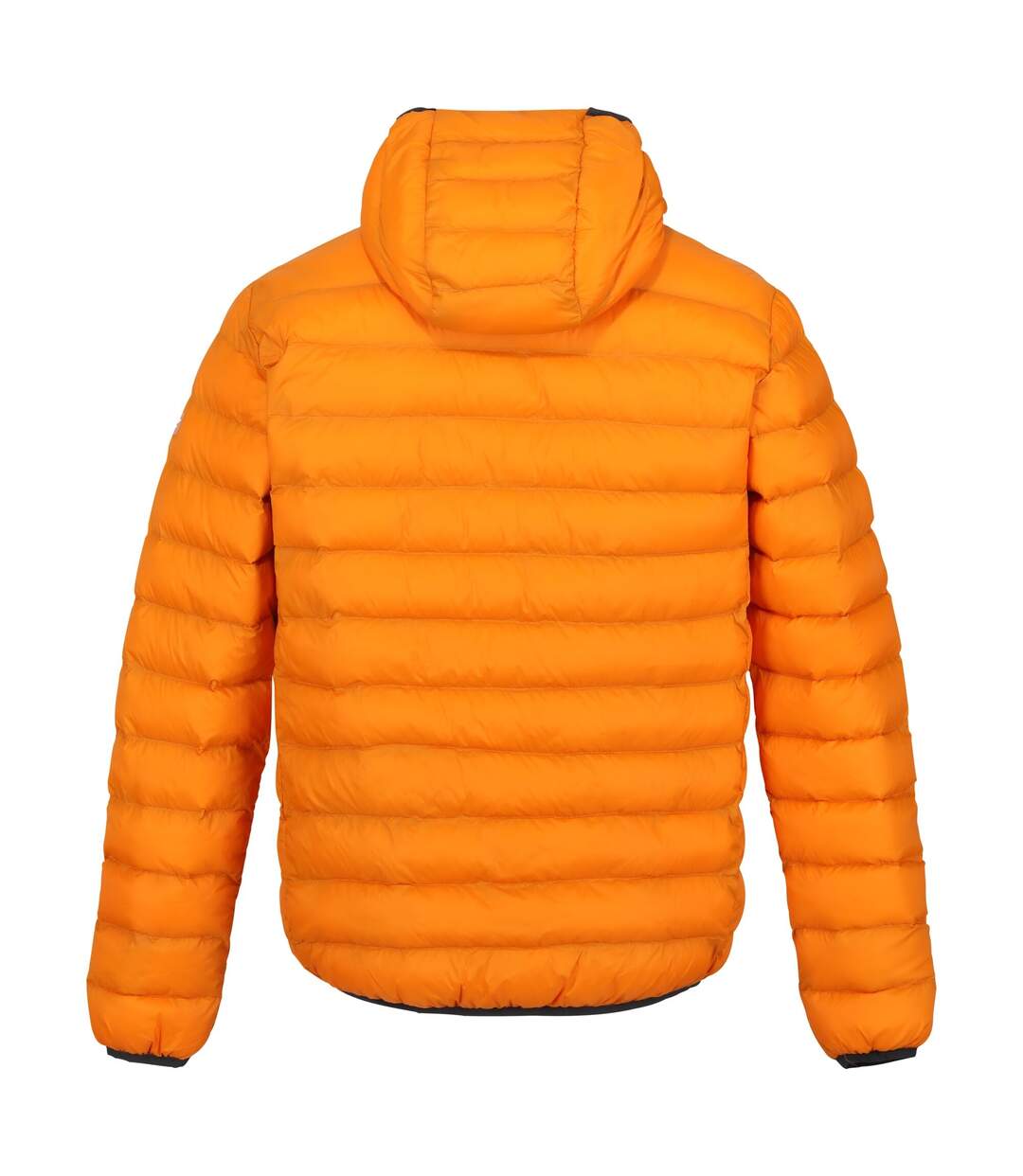Doudoune Matelassée Marizion Homme Orange Orange Brûlé Regatta-3