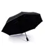 Parapluie & Lampe Torche Automatique 31cm Noir-3