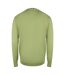 Mens Faded Crew Neck Sweatshirt Olive Green Tommy Hilfiger-2