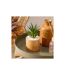 Plante Artificielle en Pot Sao 17cm Marron-4