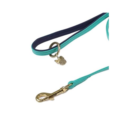 Laisse pour chiens 110 cm x 1,5 cm turquoise Digby & Fox