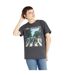 Amplified - T-shirt ABBEY ROAD - Adulte (Charbon) - UTGD1411