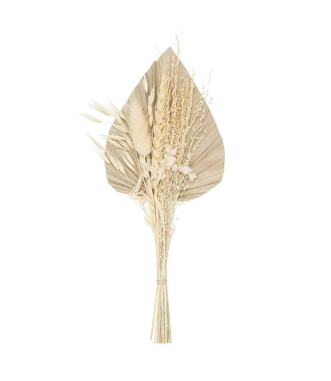 Mini Bouquet de Fleurs Naturelles Seav 30cm Beige-1