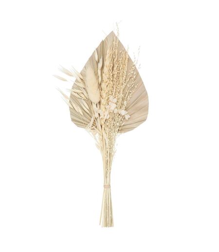 Mini Bouquet de Fleurs Naturelles Seav 30cm Beige