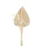 Mini Bouquet de Fleurs Naturelles Seav 30cm Beige-1