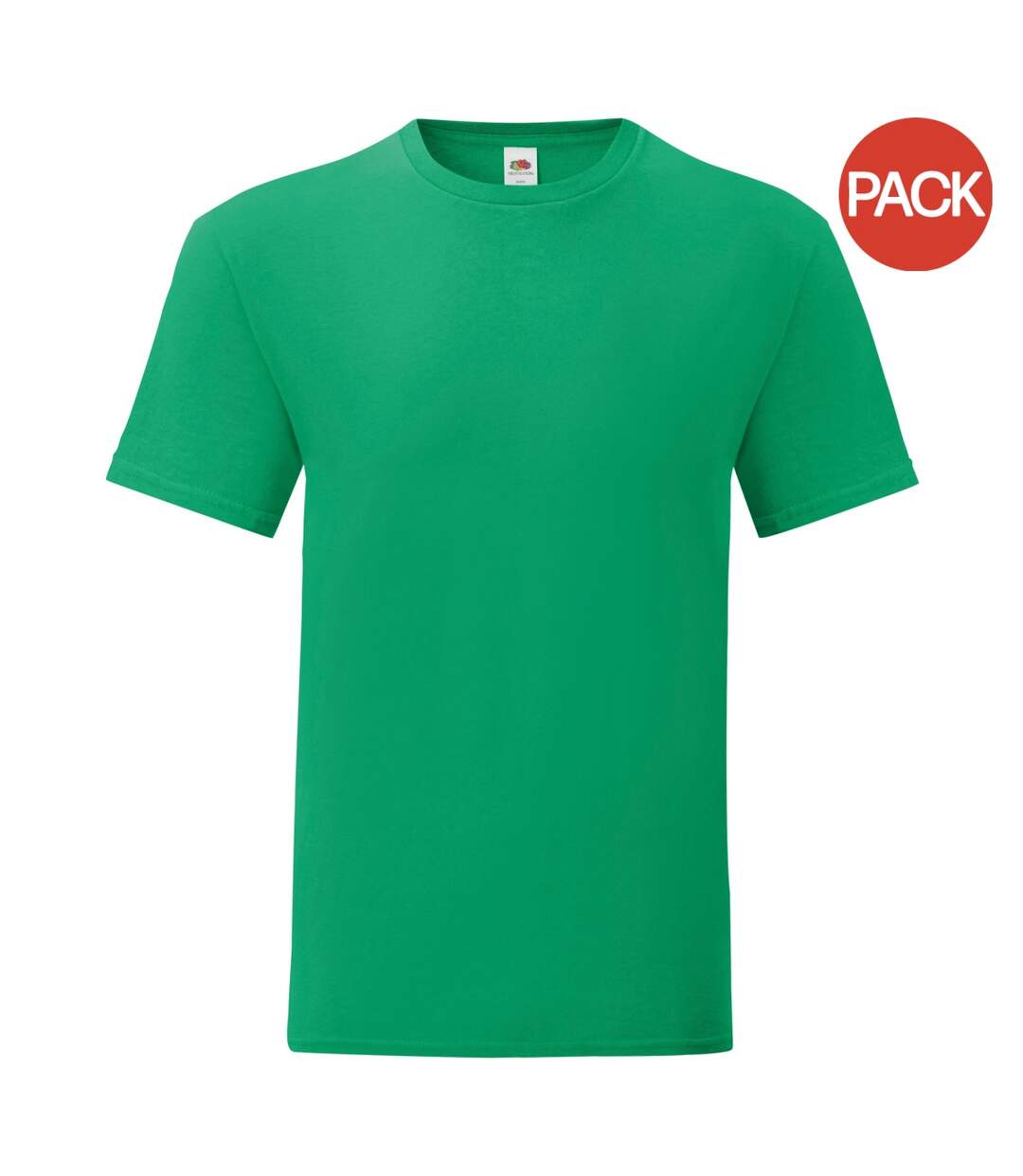 Fruit Of The Loom - T-shirt ICONIC - Hommes (Vert) - UTPC4369