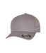 Flexfit Unisex Adult Cotton Twill Baseball Cap (Gray)