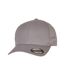 Flexfit - Casquette de baseball - Adulte (Gris) - UTRW9259