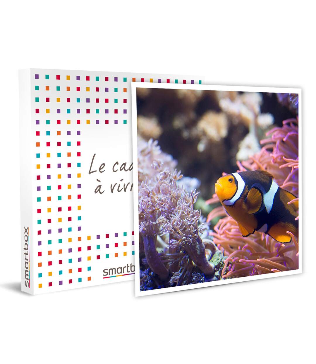 SMARTBOX - Visite de l’Aquarium Sea Life de Val d’Europe - Coffret Cadeau Sport & Aventure