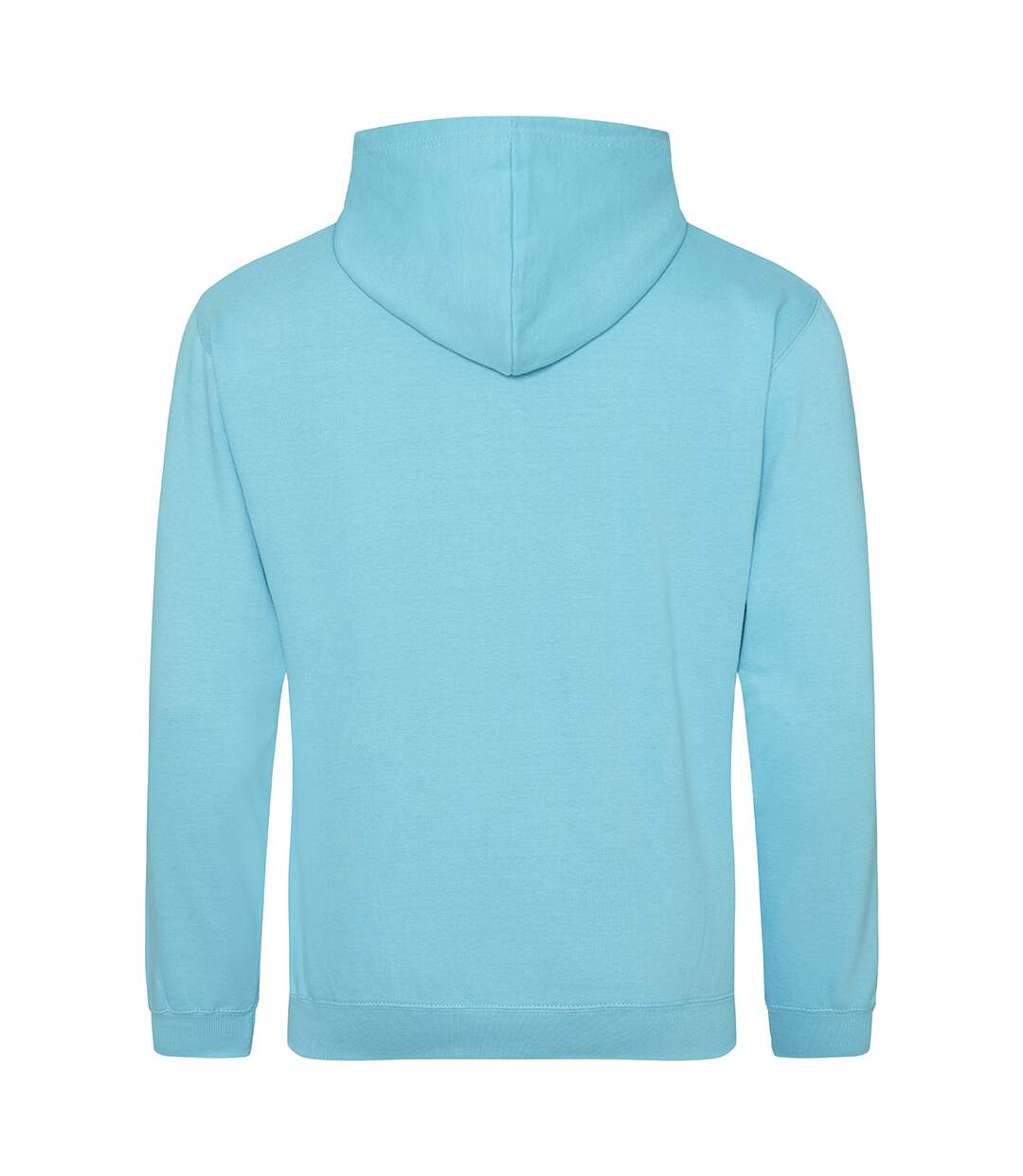 Sweat à capuche college adulte turquoise vif Awdis